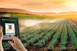 Vers une agriculture durable grâce aux applications scientifique et technologique