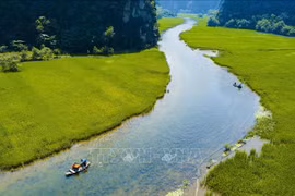 La beauté de Tam Coc sublimée à la saison de la récolte du riz 