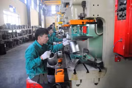 Thai Binh appelle aux investissements singapouriens dans cinq domaines 