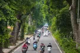 Fête de plantation d'arbres du Printemps 2021 : action de protection environnemental 