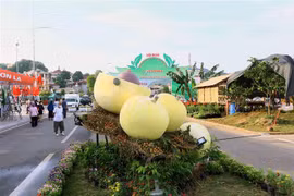 Le PM assiste au festival des fruits et légumes et des produits OCOP à Son La