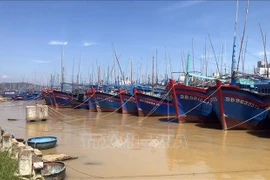 100% des navires de pêche à Binh Dinh devront avoir un certificat de sécurité alimentaire en juin