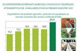 Exportations de produits agricoles, sylvicoles et aquatiques atteignent plus de 24 mlds d’USD
