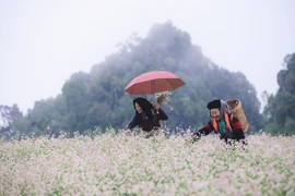 Une kyrielle d’activités attrayantes au Festival de la fleur de sarrasin 2022 à Ha Giang