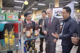 La province vietnamienne de Thanh Hoa promeut sa coopération avec des localités russes