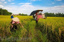 La Banque mondiale prête à soutenir de nouveaux projets agricoles au Vietnam