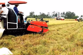 Le Vietnam envisage une croissance moyenne de 7% de son PIB durant la période 2021-2025