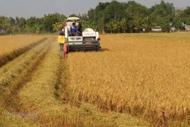 Le secteur agricole en pénurie d’environ 3,2 millions de travailleurs qualifiés en 2020