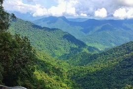 Les 10 parcs nationaux les plus attrayants du Vietnam