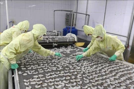Produits aquatiques: la production nationale pourrait atteindre 6,75 millions de tonnes en septembre