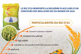 Le riz ST25 du Vietnam, deuxième place lors d’un concours des meilleurs riz du monde en 2020