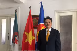 Vietnam-Algérie : de riches potentiels pour promouvoir le commerce et l’investissement bilatéraux