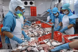 Dynamiser les exportations vietnamiennes vers le Mexique