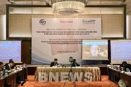Vietnam-Japon : coopération pour le développement énergétique durable dans la GMS