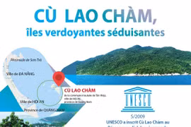 Cù Lao Chàm, îles verdoyantes séduisantes
