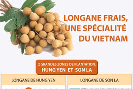 Longane frais, une spécialité du Vietnam 