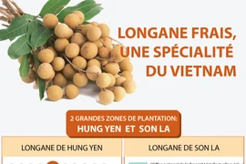 Longane frais, une spécialité du Vietnam 