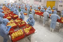 Des approches flexibles pour renforcer la présence des produits vietnamiens en Eurasie