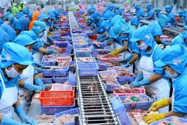 BAD : l'épidémie de COVID-19 coûtera au Vietnam 0,41 point du PIB