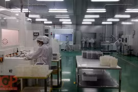 Bac Giang mobilise ses entreprises d’IDE à rejoindre l’Association d’entreprises provinciale