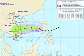 Le typhon Goni frappera les provinces de Quang Ngai à Khanh Hoa