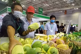 Diversification des marchés à l’export des fruits et légumes