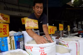 Cambodge : les exportations de riz augmentent malgré les intempéries