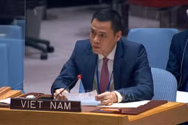 Le Vietnam est prêt à participer aux efforts humanitaires pour l'Ukraine