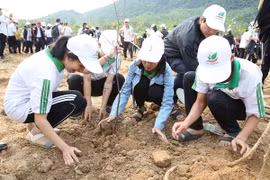 Lancement du Mois des jeunes 2019 à Binh Dinh