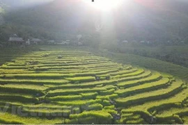 Le tourisme communautaire fait son chemin à Pu Luong