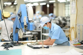 Journée de la culture d'entreprise du Vietnam: Prémisse pour un développement durable