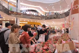 Les marchandises vietnamiennes confortent leur place au Japon
