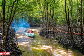 Les empreintes de Ca Mau sur la carte touristique du Vietnam