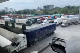 Quang Ninh réalise un chiffre d'affaires à l’export de 3,1 milliards de dollars en 9 mois
