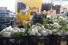 Passerelle pour les entreprises vietnamiennes et malaisiennes
