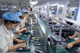 La structure des produits vietnamiens exportés vers Singapour reste stable