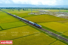 La ligne ferroviaire à grande vitesse Ho Chi Minh-Ville - Can Tho à l’étude