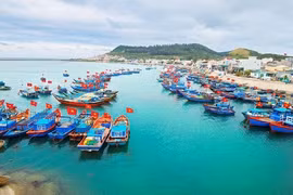 Séminaire virtuel sur des solutions pour le développement durable de l'économie de la mer bleue