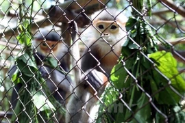Renforcer la coopération multipartite dans la conservation de la biodiversité