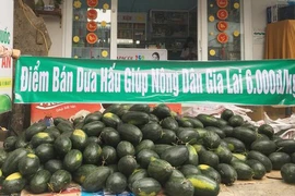 COVID-19 : la R de Corée soutient la consommation des produits agricoles vietnamiens