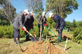 Plantation de 125 cerisiers japonais à Da Lat