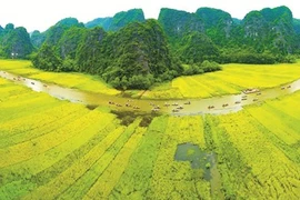 Ninh Binh, terre riche en patrimoines