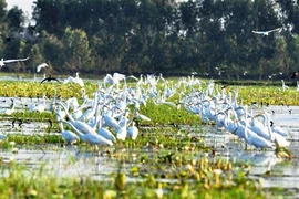 Long An développe sa marque touristique