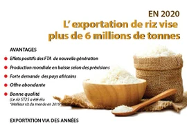 L’exportation de riz vise plus de 6 millions de tonnes