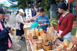 Ouverture du festival "L'art de l'installation pour l'environnement marin" à Hoi An
