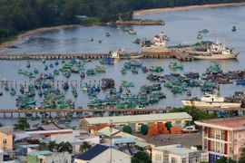Kien Giang cherche à accélérer ses exportations des marchandises 