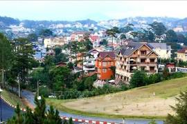Da Lat prépare un dossier pour devenir la ville créative de la musique de l'UNESCO