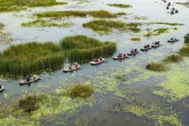 La Réserve naturelle de Vân Long, une "baie sans vagues" à Ninh Binh