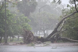 Tempête Noul : un mort, des dizaines de blessés au Centre