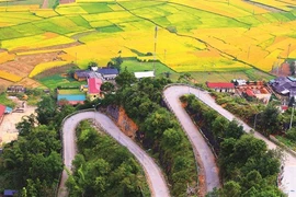 Circuits du Têt avec Saigontourist